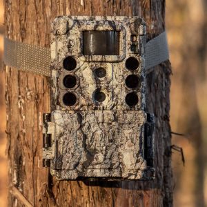 kamera trap bushnell 119987C Core 4K DS No Glow tampak terpasang di pohon